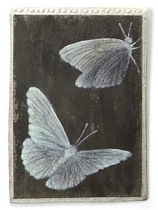 Silver Scene Butterflies