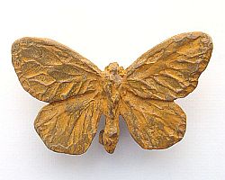 Sulphur Butterfly - Brooch