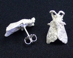 Moth Pupa - Earrings
